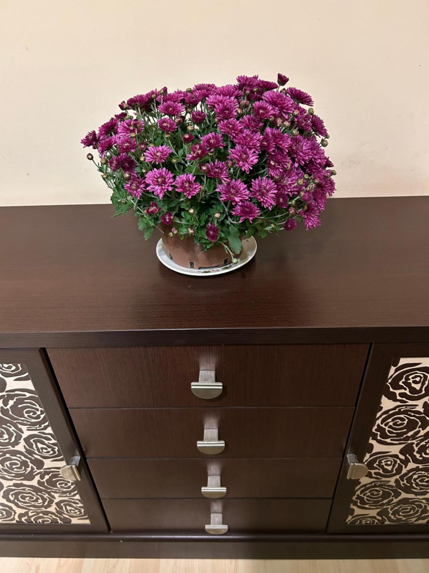 Three Bedroom Stepana Bandery Street روفنو المظهر الخارجي الصورة